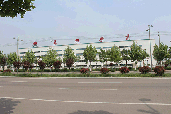昊福药业